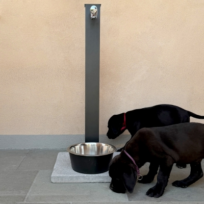 Una ripresa frontale in esterni che mostra una fontana a colonna minimalista e moderna di colore grigio scuro su una base di cemento rettangolare. Sopra la base è posizionata una ciotola di metallo inossidabile. Un piccolo rubinetto cromato sporge dalla parte superiore della colonna. A destra, due cuccioli di Labrador nero sono accucciati a terra. Il cucciolo più vicino, in primo piano, ha un collare viola chiaro e sta annusando il bordo del pavimento in cemento, mentre il cucciolo dietro di esso, con un collare rosso sottile, guarda verso la fontana. Lo sfondo è una parete liscia di stucco di colore marrone chiaro.